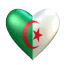  استقلال الجزائر لا يكتمل إلا باستقلال فلسطين 2178553990